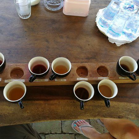 Kampung Kopi Kemenuh